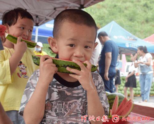 上朝吃瓜,揭秘上朝吃瓜背后的宫廷秘闻