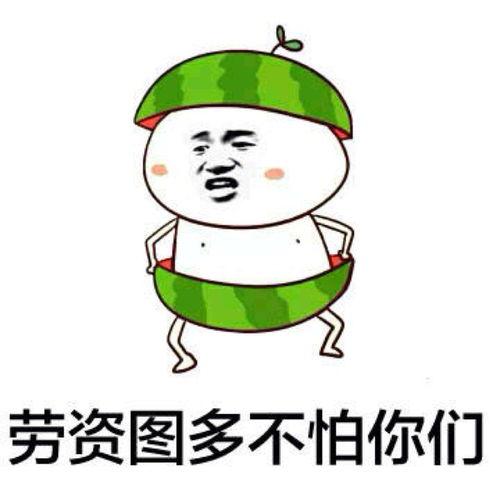 吃瓜群众表情包互动,趣味互动中的社会现象解析