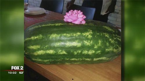 网黑吃瓜