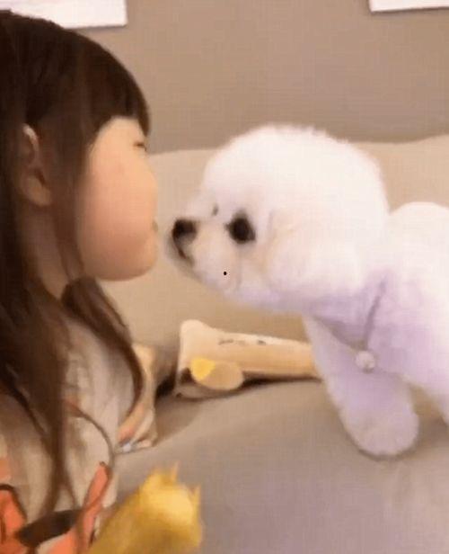 狗狗可以吃土瓜嘛