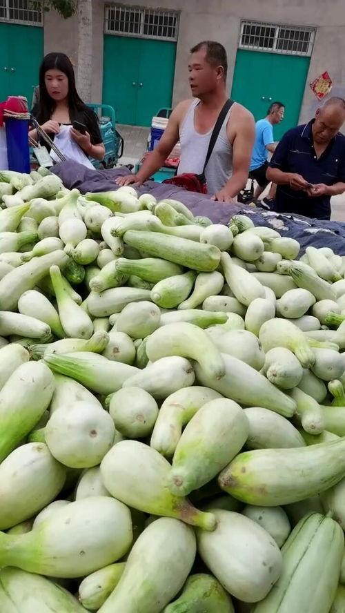 两元吃瓜,揭秘娱乐圈背后的秘密与八卦