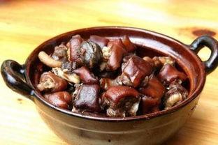 吃狗肉不能吃瓜吗,探讨饮食文化中的道德与争议