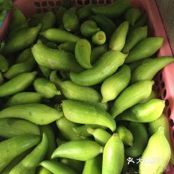 角瓜不能和谁吃,角瓜相克食物大盘点，这些搭配要避免